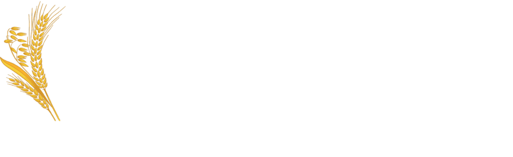 TEFF LIFE LTD